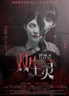 双生灵