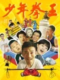 少年拳王