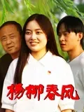 杨柳春风